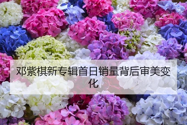 邓紫棋新专辑首日销量背后审美变化